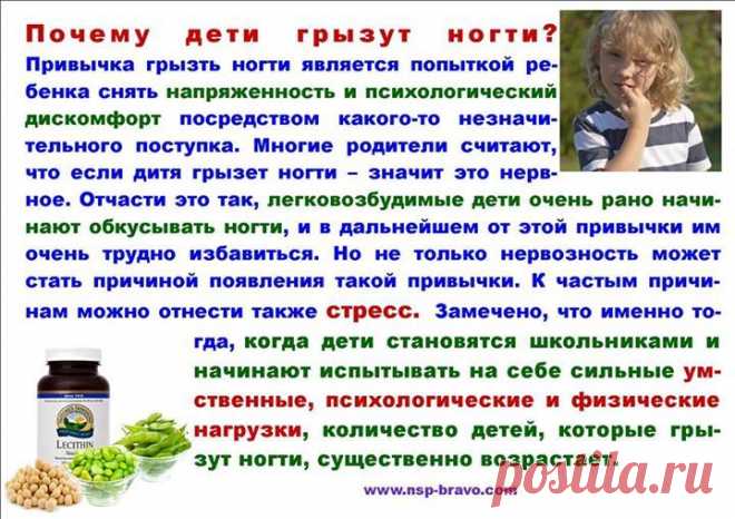 Почему дети грызут ногти?Привычка грызть ногти является одной из самых распространенных у детей. В связи с этим, многие родители полагают, что она вредна, но, в общем-то, вполне нормальна для ребенка, и потому бездействуют. Однако это занятие может быть симптомом куда более серьезных патологий.

Эта вредная привычка говорит о том, что ребенок находится в эпицентре стрессовой ситуации.