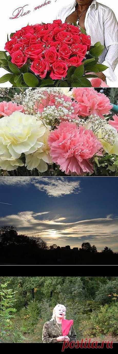 (11) Одноклассники