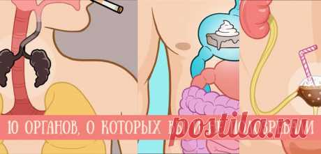 10 тайных органов человеческого тела, о которых вы и не подозревали (11 фото)