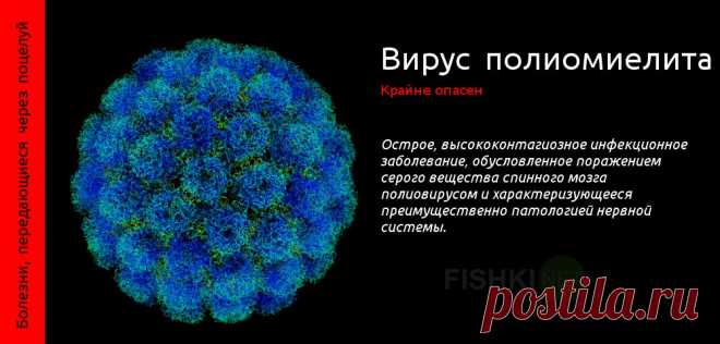 Болезни, передающиеся через поцелуй