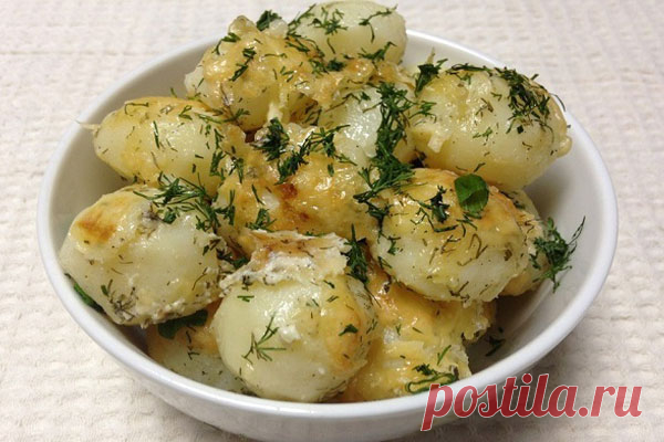 Молодой картофель под сметанным соусом Читать далее...