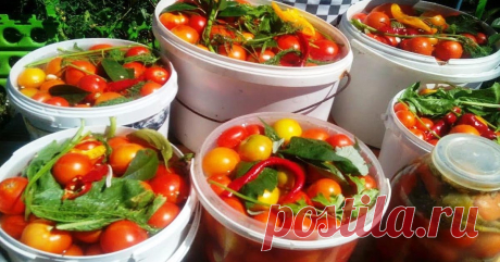 Квашеные помидоры с сахаром с потрясающим привкусом