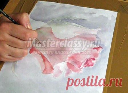 Как нарисовать розу: поэтапно с фото