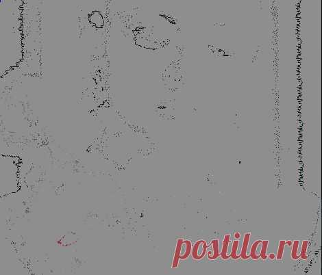 Природа | Записи в рубрике Природа | Здесь еще интересней