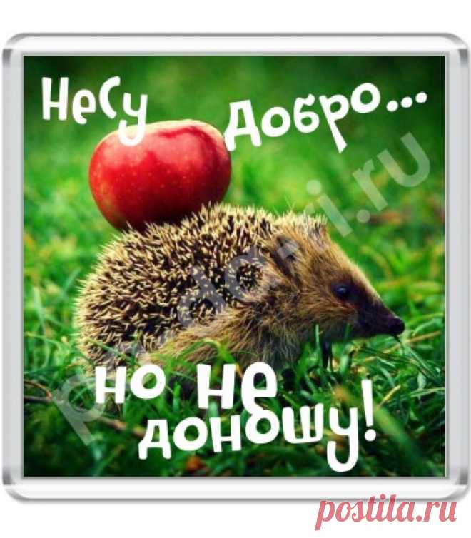 Вещи, которые в дом несут добро !!! - МирТесен