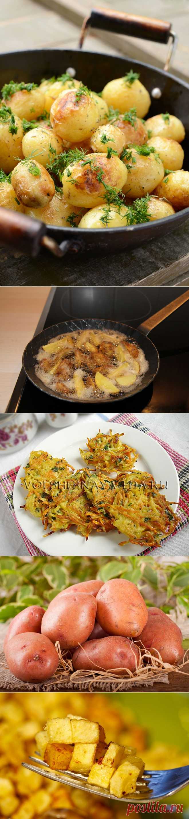Жареная картошка. Как пожарить картошку разными способами, секреты и рецепты вкусной жареной картошки | Волшебная Eда.ру
