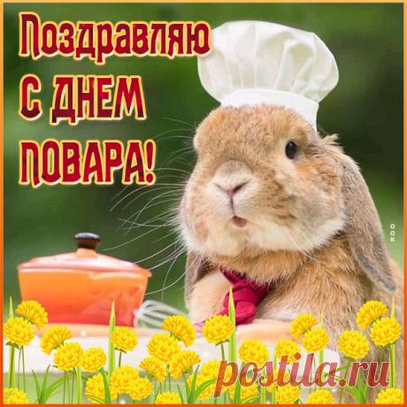 Милая картинка с днем повара с кроликом
