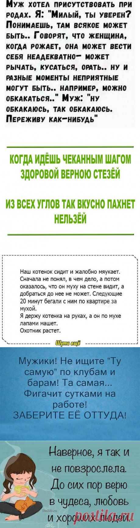 Забавные шутки, которые избавят вас от плохого настроения