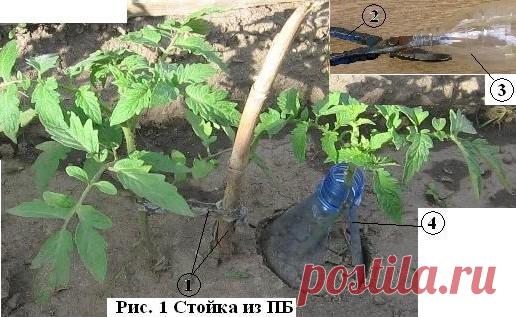 Ножницами по железу (Рис 1.2), вырезать паз, шириной 10-15 мм, в верхней части пластиковой бутылки (Рис 1.3). Аккуратно пропускается стебель растения через него и вдавливается в землю (Рис 1.4).
          Получается не только надёжный держатель растения, но и в какой-то степени уменьшается испарение воды из прикорневой части земли.