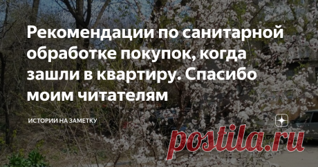 Рекомендации по санитарной обработке покупок, когда зашли в квартиру. Спасибо моим читателям Здравствуйте!
В своей прошлой статье я поделилась своими способами санитарной обработки покупок в наше непростое время.
Фото автора статьи
В комментариях развернулась широкая беседа с личными советами и наблюдениями. Еще хочу заметить, что подавляющее большинство комментариев доброжелательное. Спасибо всем!