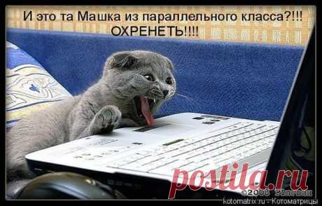 (2) Болотова Светлана