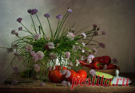photo: Gemüse | photographer: Tatjana Weigand | WWW.PHOTODOM.COM