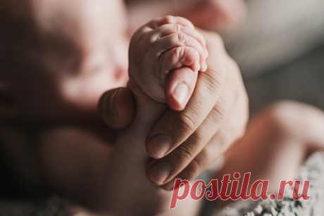 На российском телевидении начнется первое реалити-шоу о родах. Телеканал «Ю» и «Национальные проекты России» представят новое реалити-шоу «Будни роддома». Проект показывает личные истории не только будущих мам от их первого шага на порог роддома до первого детского крика, но и врачей больницы.