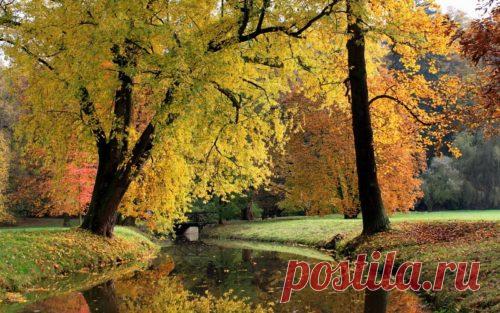 Красивые цитаты про осень, короткие изречения великих людей о ней, осень и любовь в книгах русских поэтов и писателей, фразы на английском с переводом