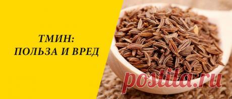 Тмин: польза и вред для здоровья организма Тмин: история и состав, польза и вред для организма, применение в народной медицине, косметологии и кулинарии.
