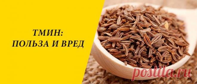 Тмин: польза и вред для здоровья организма Тмин: история и состав, польза и вред для организма, применение в народной медицине, косметологии и кулинарии.