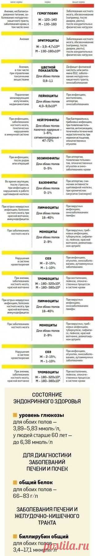 О чём расскажет анализ крови