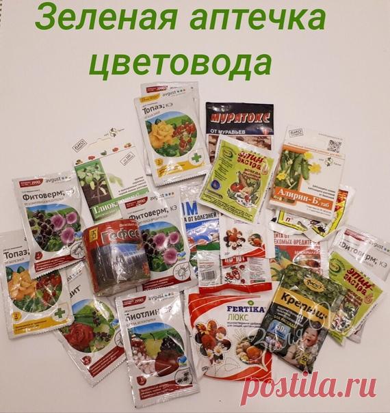 Зеленая аптечка цветовода ! Самые необходимые средства для садоводов.

1. Актара и Конфидор против паутинного клеща, тли, колорадского жука.
2. Семпай - против гусениц капустной белянки, листовёрток и пилильщиков.
3. Раёк, Скор - против парши на яблони, рзавчины и мучнистой росы на цветах.
4. Профит Голд, Ордан, Хом - против фитофтороза.
5. Превикур, Триходерма - против фузариоза астр, корневых гнилей.
6.Циркон - препарат улучшающий корнеобразование даже при стрессовых усл...