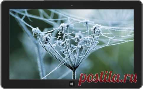 Тема "Зимние паутинки" - Microsoft Windows