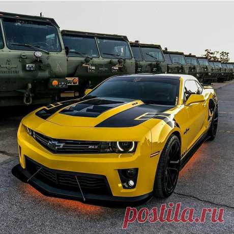 Оцените от 1 до 100