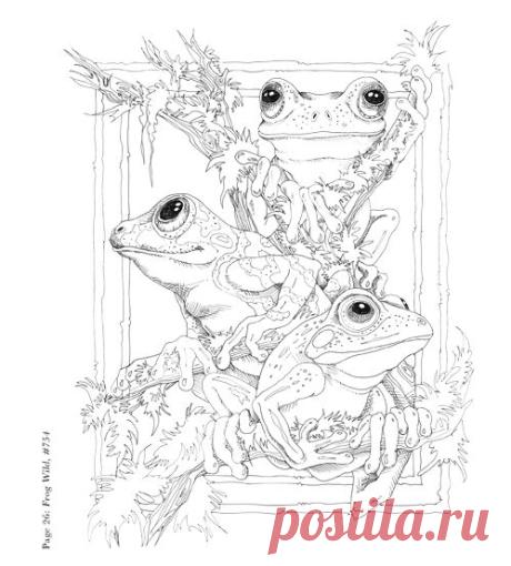 28 | Jody Bergsmas Blog | Pyrografy