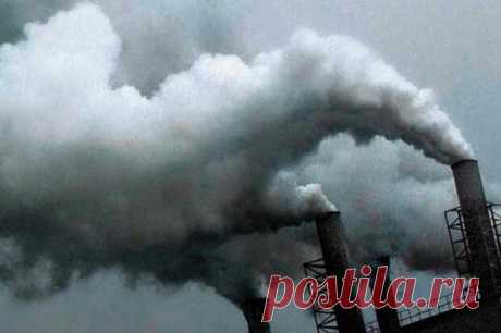 Загрязненный воздух может провоцировать ожирение
Вдыхание загрязненного воздуха вредит не только органам дыхания, но и метаболической системе....
Читай дальше на сайте. Жми подробнее ➡