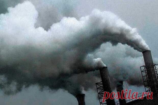 Загрязненный воздух может провоцировать ожирение
Вдыхание загрязненного воздуха вредит не только органам дыхания, но и метаболической системе....
Читай дальше на сайте. Жми подробнее ➡