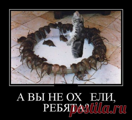 Взрослый юмор