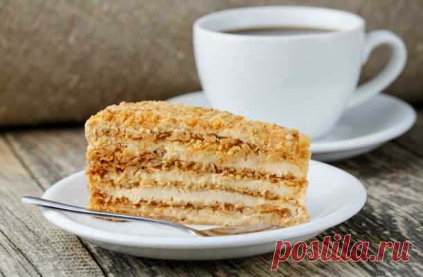Как приготовить роскошный медовик: 5 рецептов на любой вкус. Один лучше другого! — Домашняя кулинария