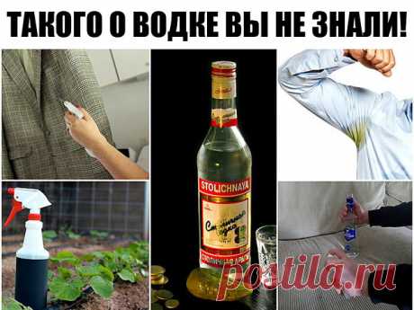 (18) Одноклассники