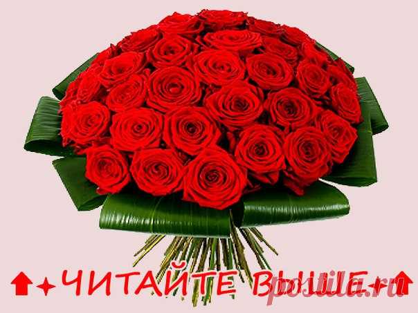 ЗДРАВСТВУЙТЕ, ДРУЗЬЯ! К ВАМ ОБРАЩАЕТСЯ АДМИНИСТРАЦИЯ НАШЕЙ ЗАМЕЧАТЕЛЬНОЙ ГРУППЫ vk.com/otcrytki , ХОТЕЛИ У ВАС ПОПРОСИТЬ, ЕСЛИ ВАМ НЕ ТРУДНО, ПРИГЛАСИТЕ, ПОЖАЛУЙСТА, СВОИХ ДРУЗЕЙ В НАШУ ГРУППУ - НЕ ВАЖНО КАКОЕ КОЛИЧЕСТВО, ЧЕМ БОЛЬШЕ ТЕМ ЛУЧШЕ)) МЫ ВКЛАДЫВАЕМ СВОЕ ВРЕМЯ, ЧТОБЫ СДЕЛАТЬ ГРУППУ САМОЙ ЛУЧШЕЙ И ИНТЕРЕСНОЙ, И ВЫ НАМ ПОМОГИТЕ, ВЕДЬ ЭТО ЗАЙМЕТ ВСЕГО ПАРУ МИНУТ. ВЫ У НАС САМАЯ ЛУЧШАЯ АУДИТОРИЯ ))

НА ВАШУ СТРАНИЦУ, ПЕРИОДИЧЕСКИ, БУДУТ ПРИХОДИТЬ ОТКРЫТКИ И ПОЗДРАВЛЕН...