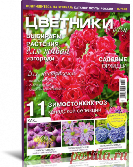 Читать журнал Цветники в саду (№2 февраль 2019) бесплатно .