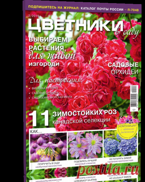 Читать журнал Цветники в саду (№2 февраль 2019) бесплатно .