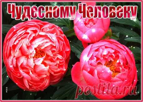 Открытка цветы чудесному человеку