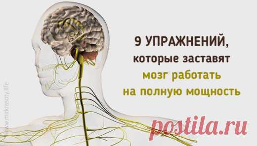 9 кинезиологических упражнений, которые заставят мозг работать на ... | Golbis