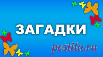 Загадки-обманки для детей | GOLOS.io Блоги В этих загадках есть изюминка - на них хочется ответить неправильно. Они научат ребёнка думать, быть внимательным и не поддаваться на разные хитрости. А ещё они развивают чувство юмора. Зимой в берлоге Видит сон Лохматый, Косолапый…слон (медведь) Быстрее всех от страха Несётся… черепаха (заяц) По… by venerochka