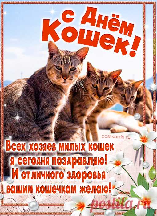 Коты и кошки — эти милые создания
Всегда достойны нашего внимания!
Без кошек невозможно нам прожить,
Давайте кошечек лелеять и любить!