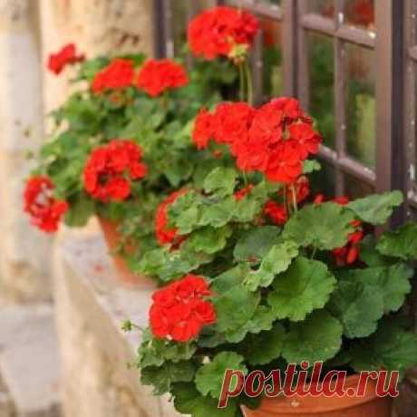 (47) Одноклассники