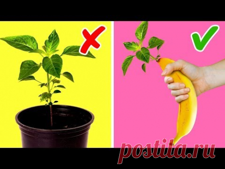20 НЕВЕРОЯТНЫХ ЛАЙФХАКОВ С РАСТЕНИЯМИ, КОТОРЫЕ СТОИТ ПОПРОБОВАТЬ ХОТЬ РАЗ - YouTube