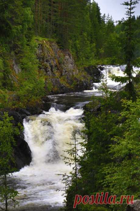 Русский Север: Заповедник Кивач–Сортавала | ПИЛИГРИМ | Яндекс Дзен