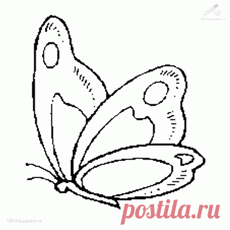 бабочки рисунок раскраска