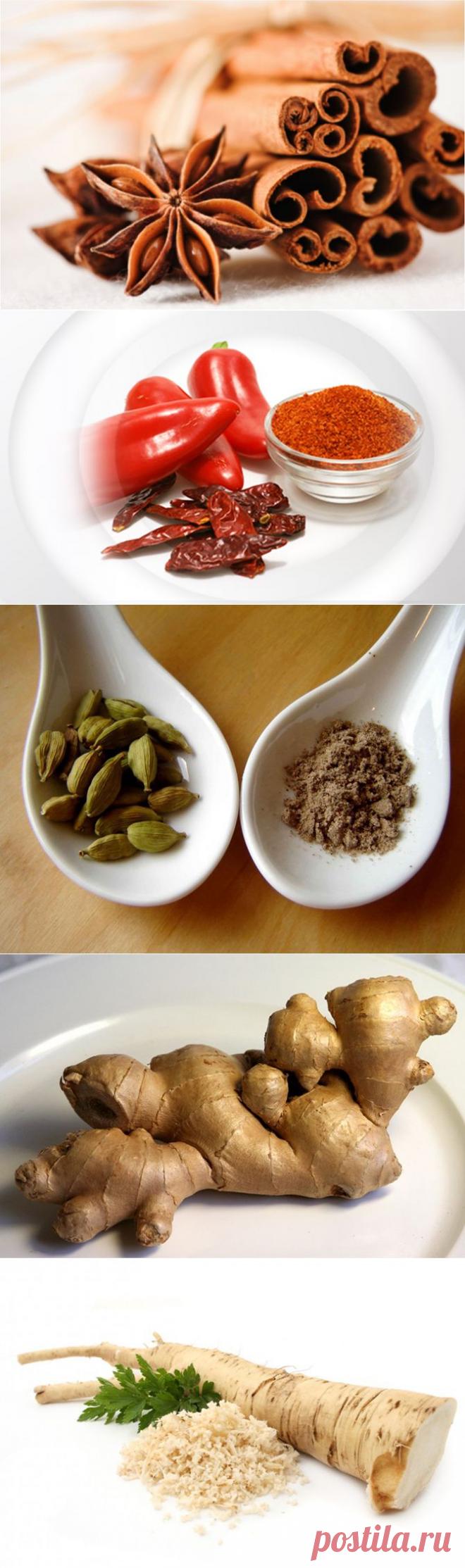 Специи - главный враг лишнего веса.