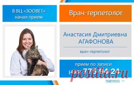Круглосуточная ветеринарная клиника Зоовет. Лучшая ветеринарная клиника в Москве. Ветеринарный центр, ветклиника, ветеринарная лечебница САО, ЗАО Москвы.