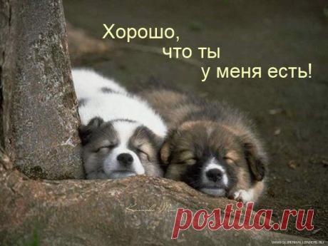 Музыкальная открытка: ты есть у меня!
Открытка лучшему другу