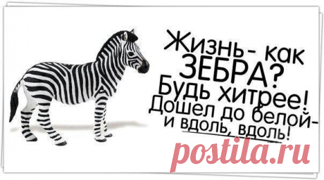 Выпуск №6174 - выпуск анекдотов сайта вокруг смеха