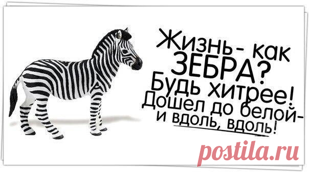 Выпуск №6174 - выпуск анекдотов сайта вокруг смеха