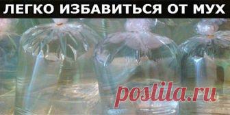 ПОЛЕЗНЫЕ СОВЕТЫ. Не думала, что всё настолько просто!Мухи создают много проблем в доме. Они, конечно, не кусают людей, но являются разносчиками различных вредоносных микроорганизмов. Мы предлагаем безобидный, но очень…