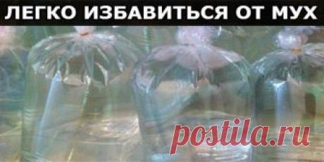 ПОЛЕЗНЫЕ СОВЕТЫ. Не думала, что всё настолько просто!Мухи создают много проблем в доме. Они, конечно, не кусают людей, но являются разносчиками различных вредоносных микроорганизмов. Мы предлагаем безобидный, но очень…