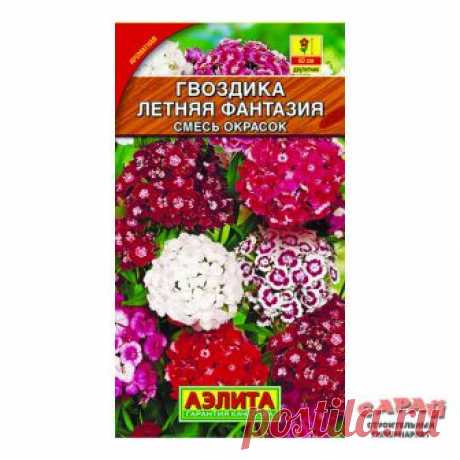 Купить Гвоздика турецкая Летняя фантазия смесь окрасок ц/п от магазина Сарай