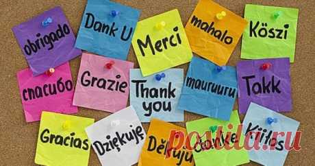 Советы по изучению языков от Като Ломб